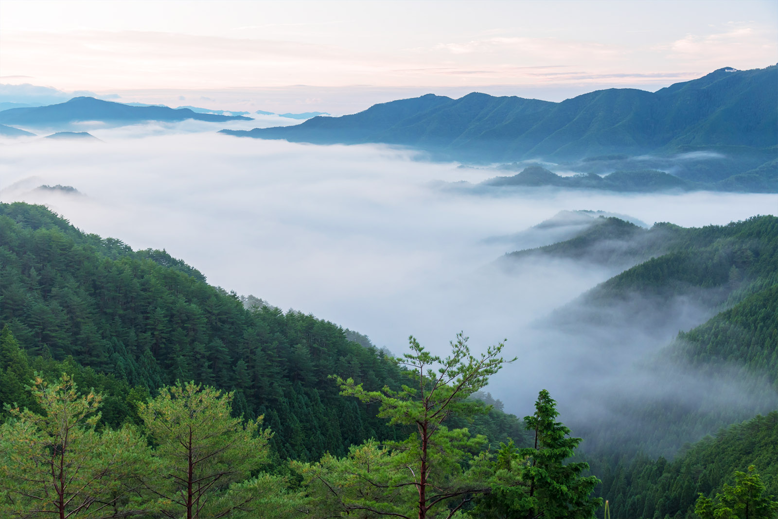 雲海に覆われた緑の山々の写真