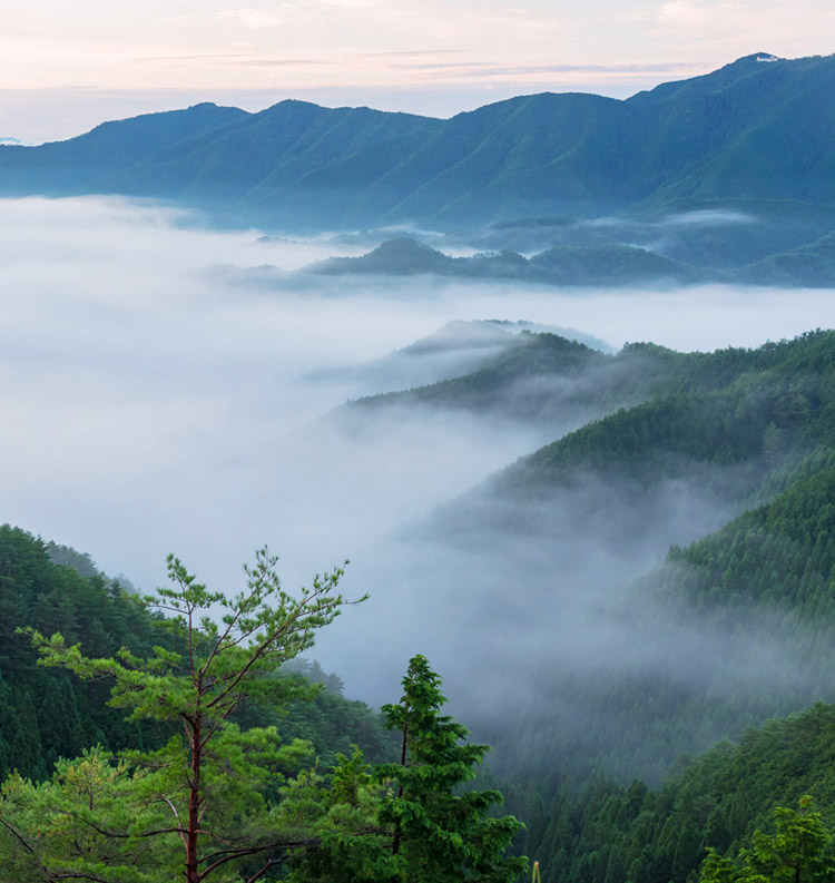 雲海に覆われた山々の写真