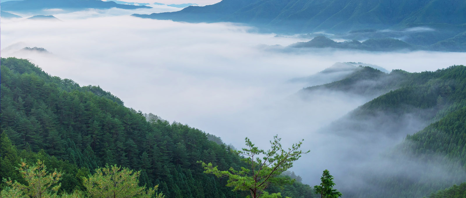 雲海に覆われた山々の写真