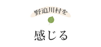 野迫川村を感じる